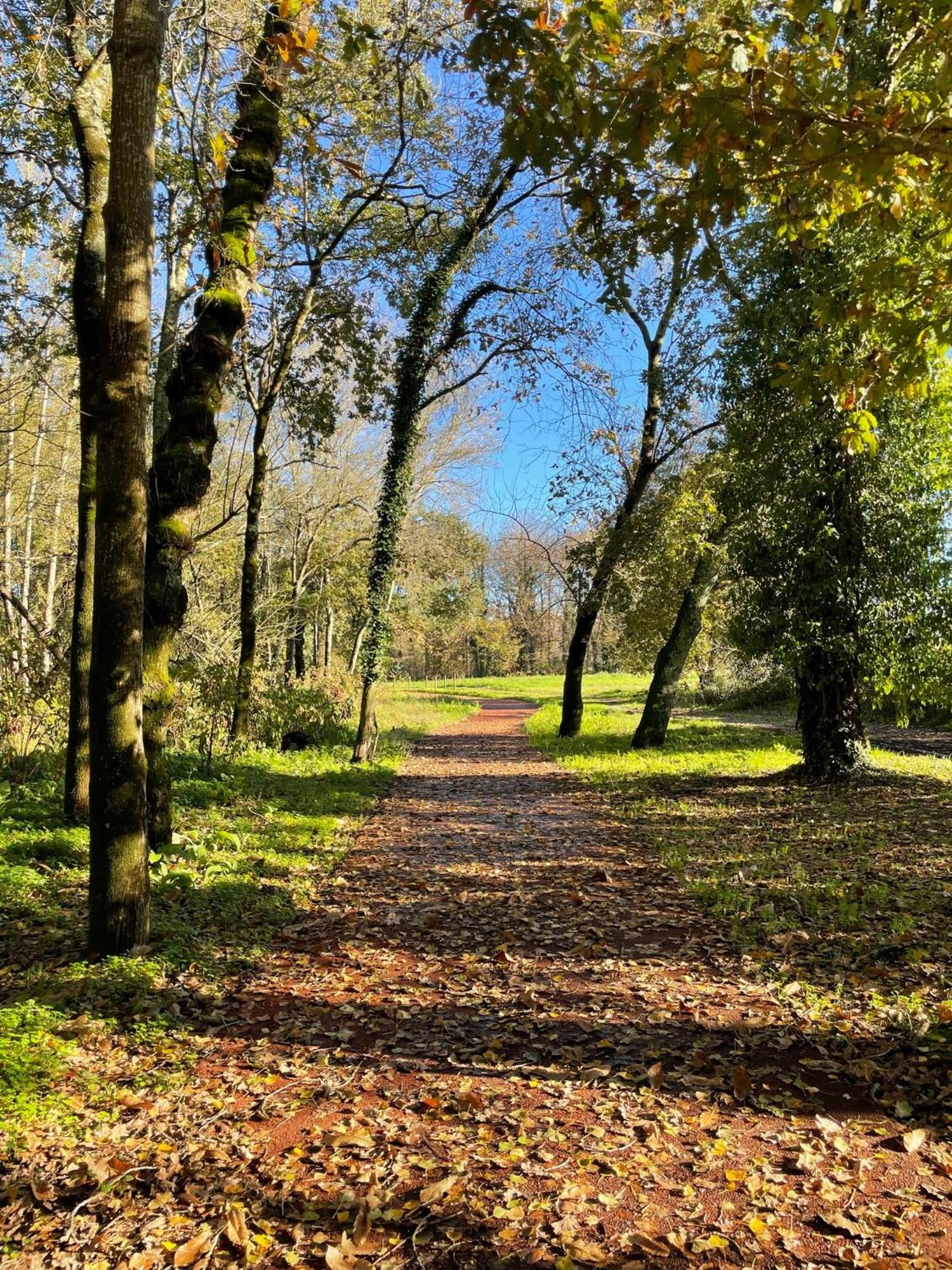 Retiro Em Valenca Διαμέρισμα Εξωτερικό φωτογραφία